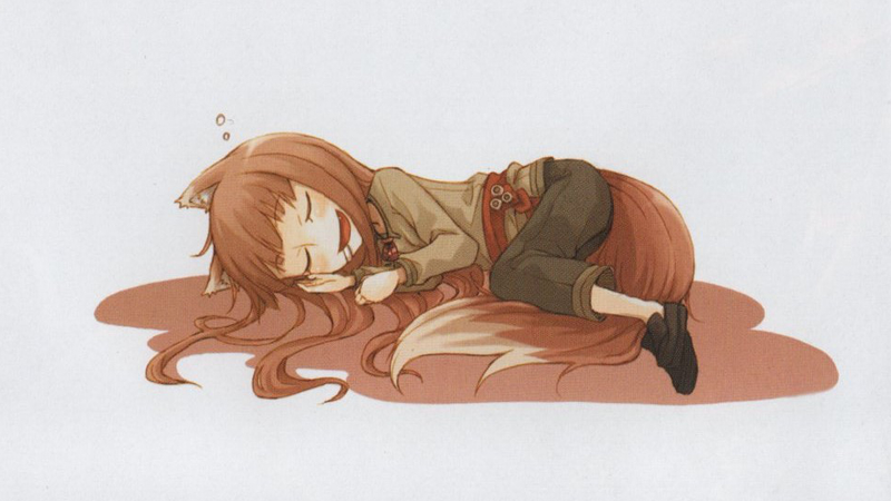 Illustration for article titled Spice & Wolf Vol. 6, 8 to 10 and 12 - Light Novel Series Review: Part 3 - The Detour